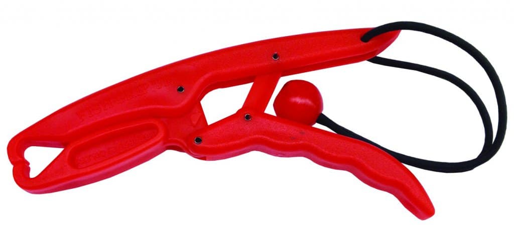 I loved this image of inno saver fishing