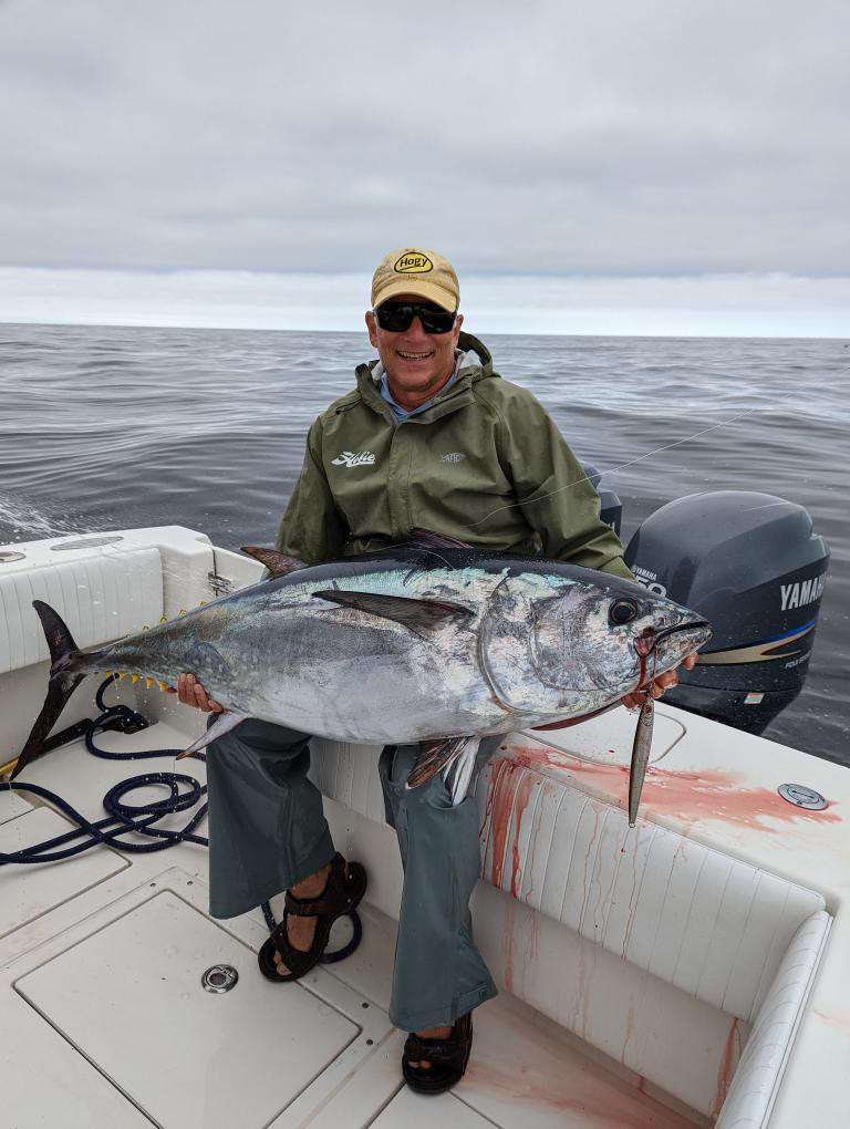 Bluefin tuna 