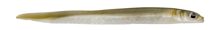 4.6" Mini Sand Eel in Light Sand
