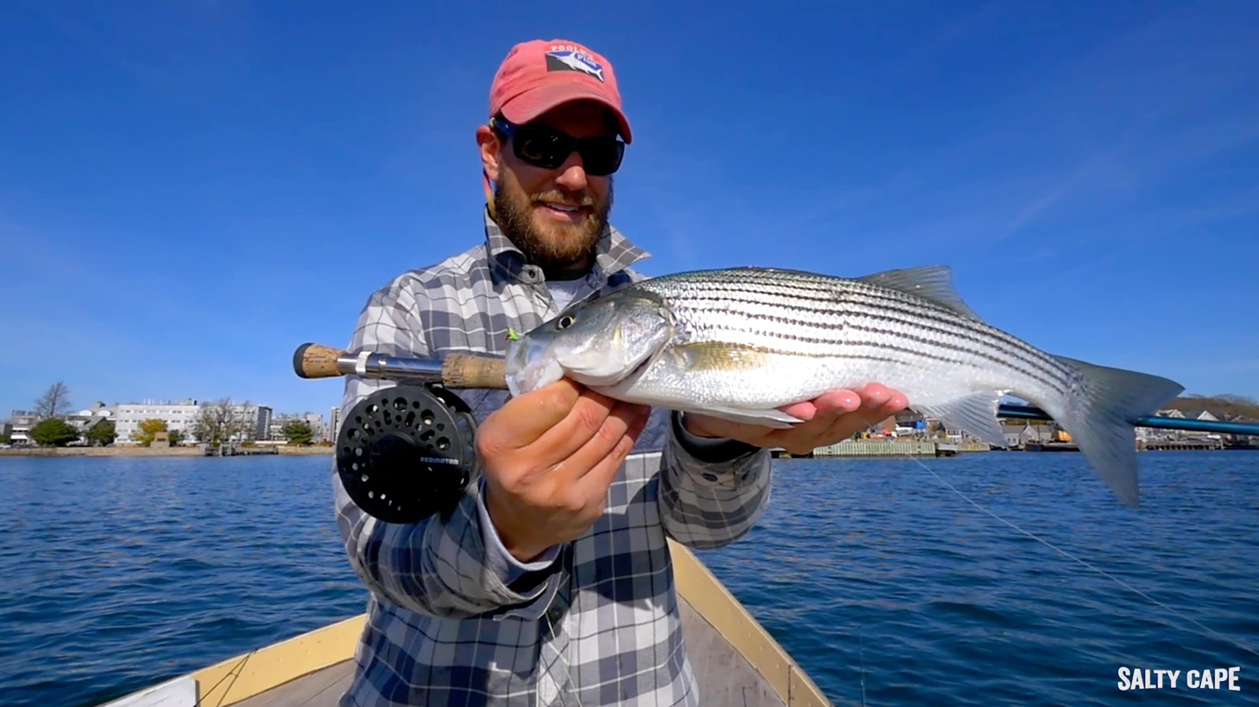 November Schoolies in Woods Hole - Salty Cape