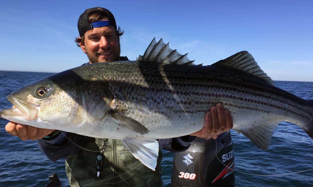 cape cod fishing