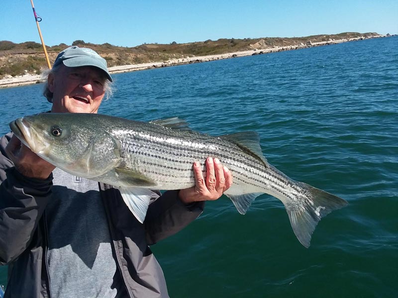 islands fishing tackle