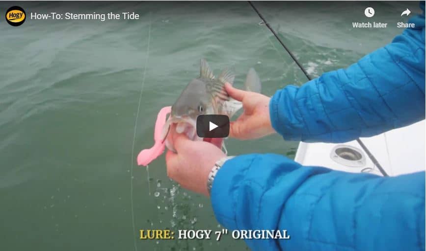Timming Fish Stemming the Tide at Middle Ground - How To Fish the Rips