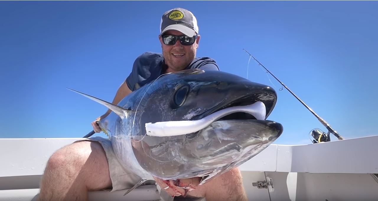 Sight Casting for Cruising Tuna with Hogy Pro Tail Paddle Tails