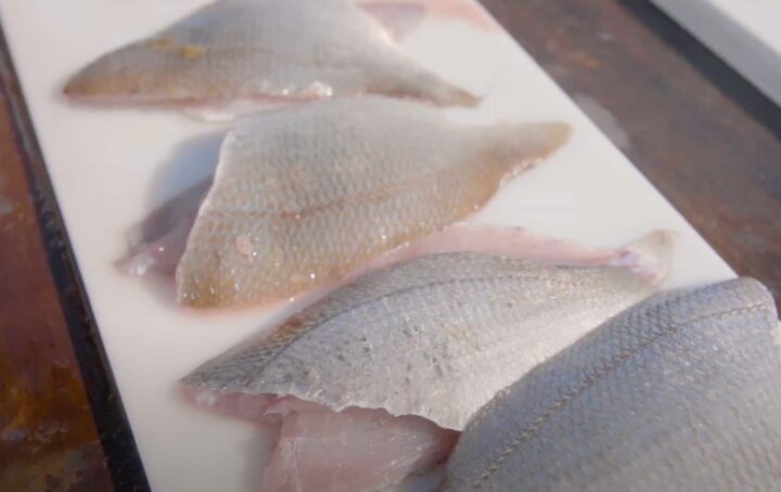How-To: Fillet a Scup - Salty Cape