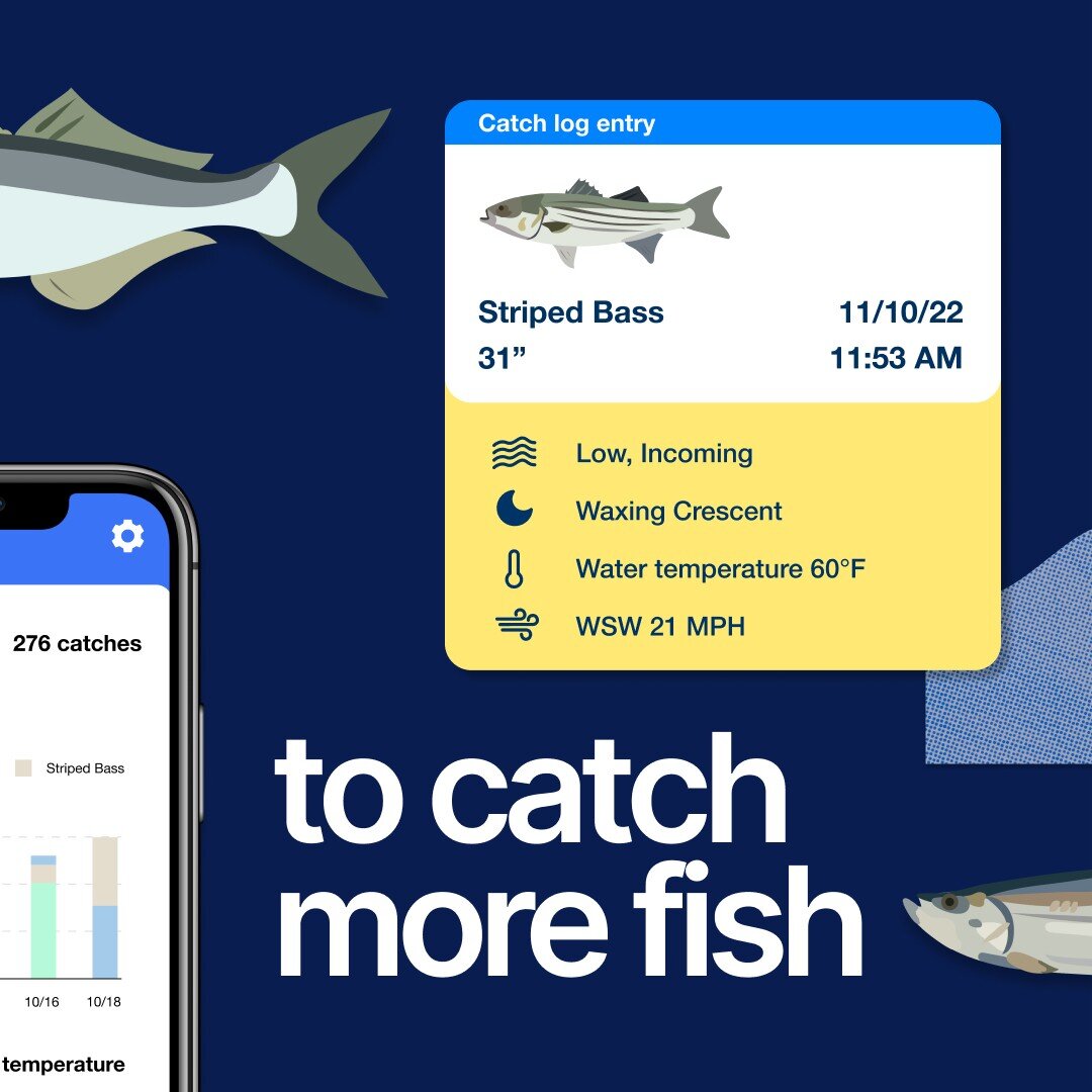 Product Reviews: The GotOne App | Catch More Fish With Data - Salty Cape